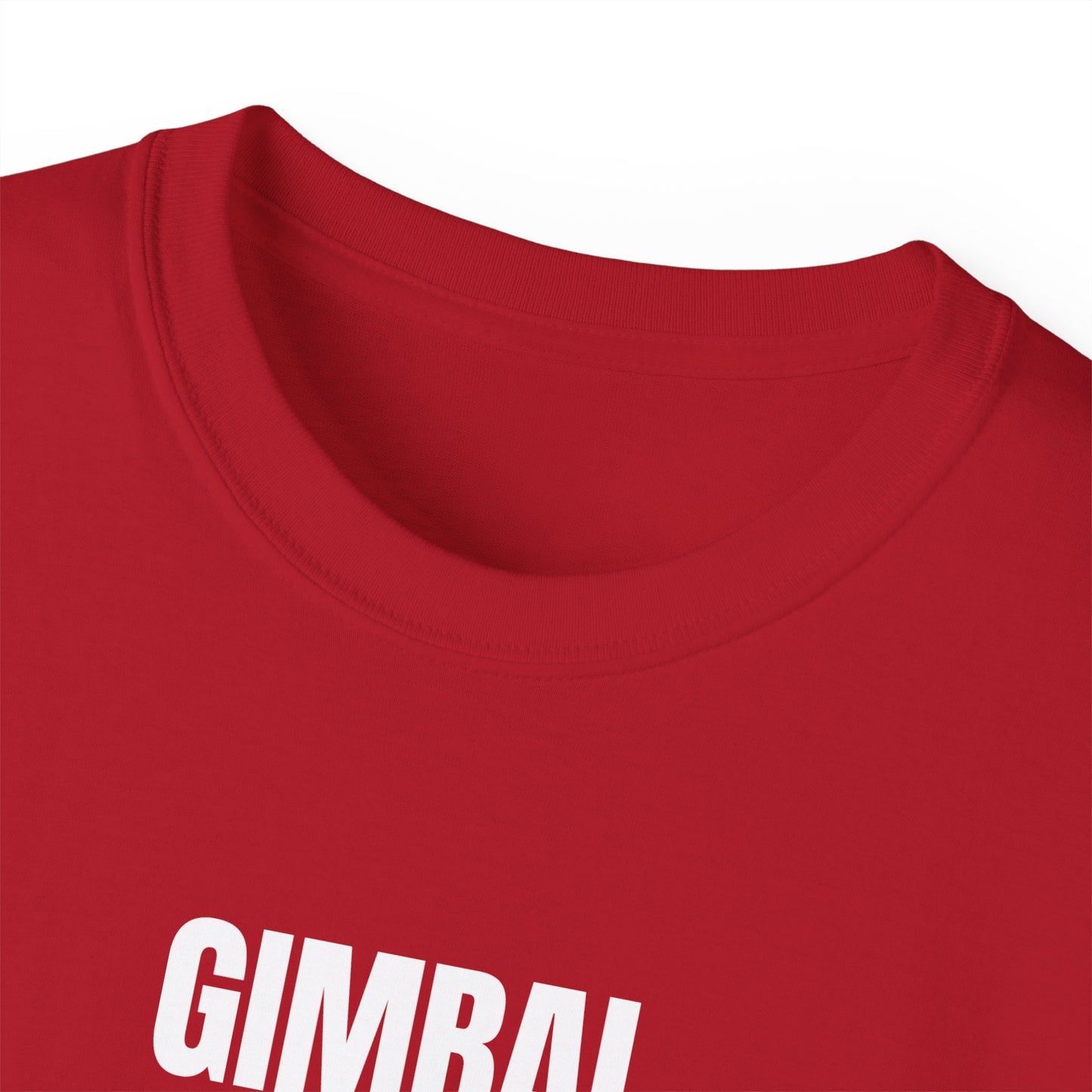 GIMBAL